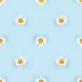 Seamless pattern with small daisy flowers with white petals on blue background Royalty Free Stock Photo