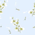 Seamless pattern small wild green and white flowers on a light blue background. Watercolor -9