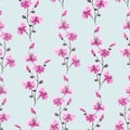Seamless pattern small wild pink branches of flowers on a blue background. Watercolor -13 Royalty Free Stock Photo