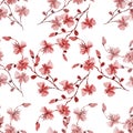 Seamless pattern small wild red cherry plum flowers on a white background. Watercolor -4