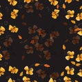 Seamless pattern small wild yellow and orange flowers on the black background. Floral background. Watercolor.