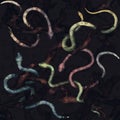 Seamless pattern with snakes on black background Royalty Free Stock Photo