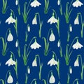 Seamless pattern with Snowdrop spring easter flowers with green leafs. Delicate Snowdrops. Fabric texture Hand painted