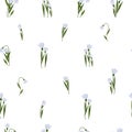 Seamless pattern Snowdrops flower on spring white background. Print for your design. Royalty Free Stock Photo