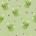 Seamless pattern with snowdrops and ladybirds on a light green background. Royalty Free Stock Photo