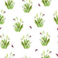 Seamless pattern with snowdrops and ladybirds on a white background. Royalty Free Stock Photo