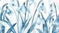 Seamless pattern of snowdrops in various shades of blue, with delicate green leaves and grasses Royalty Free Stock Photo