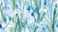 Seamless pattern of snowdrops in various shades of blue, with delicate green leaves and grasses Royalty Free Stock Photo