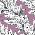 Seamless pattern. Spathiphyllum. Hand drawn graphics.