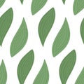 Seamless pattern of spathiphyllum leaves in trendy green shades. Design concept for different uses