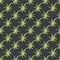 Seamless pattern with Spider plant Chlorophytum comosum , medicinal and house plant Royalty Free Stock Photo