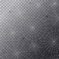 Spider web concept Royalty Free Stock Photo