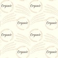 Seamless pattern with spikelets in a circle. Spikelets of cereals, a solid repeating pattern with the inscription organic. Vector Royalty Free Stock Photo