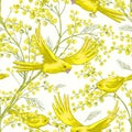 Seamless Pattern with Sprig of Mimosa Royalty Free Stock Photo