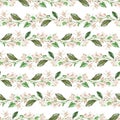 Seamless pattern of sprigs of citrus flowers. White buds of lemon, orange, bergamot, lime. Watercolor illustration Royalty Free Stock Photo