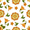 Seamless pattern with spring flowers Royalty Free Stock Photo