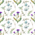 Seamless pattern with spring flowers and leaves. Wildflowers on isolated white background. Floral pattern for Wallpaper Royalty Free Stock Photo