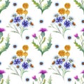 Seamless pattern with spring flowers and leaves. Wildflowers on isolated white background. Floral pattern for Wallpaper Royalty Free Stock Photo