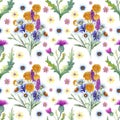 Seamless pattern with spring flowers and leaves. Wildflowers on isolated white background. Floral pattern for Wallpaper Royalty Free Stock Photo