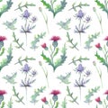 Seamless pattern with spring flowers and leaves. Wildflowers on isolated white background. Floral pattern for Wallpaper or fabric Royalty Free Stock Photo