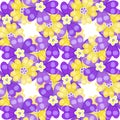 seamless pattern spring Polyanthus primula purple flowers. vector illustration