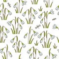 Seamless pattern with spring snowdrops Royalty Free Stock Photo