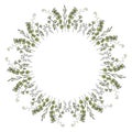 A wreath of branches with leaves. Ginkgo, eucalyptus. Hand draw colorful vector illustration isolated on white.