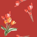 Seamless pattern of spring tulips with red flowers on a deep red background. Watercolor