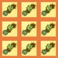 Seamless pattern of square photos of two green cactus succulent plants with shadows laid out on diagonal on pastel yellow Royalty Free Stock Photo