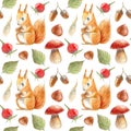 Seamless pattern of a squirrel, zelnuts, mushroom,rose hip,acorn.