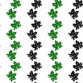 Seamless pattern of stamp green, black leaves of maple or grapes vine isolated on white background. Simple vector texture. Concept Royalty Free Stock Photo