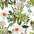 Seamless pattern with star-of-Bethlehem, or grass lily Ornithogalum umbellatum, flower, comomile, daffodils.