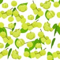 A seamless pattern of star gooseberry.