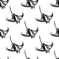 Seamless pattern Stingray Hand-drawn realistic. Oceans nature in vintage style