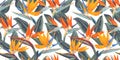 Pattern with tropical flowers and leaves of Strelitzia, called crane flower or bird of paradise.