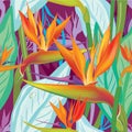 Seamless pattern with Strelitzia