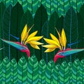 Seamless pattern with Strelitzia reginae or bird of paradise flower and green leaves Royalty Free Stock Photo