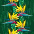 Seamless pattern with Strelitzia reginae or bird of paradise flower and ornate leaves on the dark green background