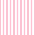 Seamless pattern stripe colorful pink pastel colors. Vertical pattern stripe abstract background vector illustration Royalty Free Stock Photo