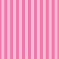 Seamless pattern stripe pink color Vertical pattern stripe abstract background vector illustration