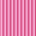 Seamless pattern stripe pink tone colors. Vertical stripe abstract background vector illustration