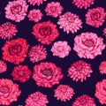 Seamless pattern stylized artistic flowers peonies dahlias pattern on a dark black background. Abstract colorful red rose pink