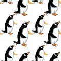 Seamless pattern Subantarctic penguin papuan Vector illustratio