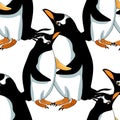 Seamless pattern Subantarctic penguin papuan Vector