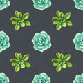 Seamless pattern with succulents. Beautiful floral print. Royalty Free Stock Photo