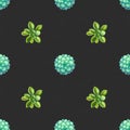 Seamless pattern with succulents. Beautiful floral print. Royalty Free Stock Photo