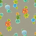 Seamless pattern with succulents. Beautiful floral print. Royalty Free Stock Photo