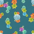 Seamless pattern with succulents. Beautiful floral print. Royalty Free Stock Photo