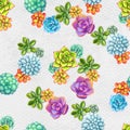 Seamless pattern with succulents. Beautiful floral print. Royalty Free Stock Photo