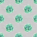 Seamless pattern with succulents. Beautiful floral print. Royalty Free Stock Photo